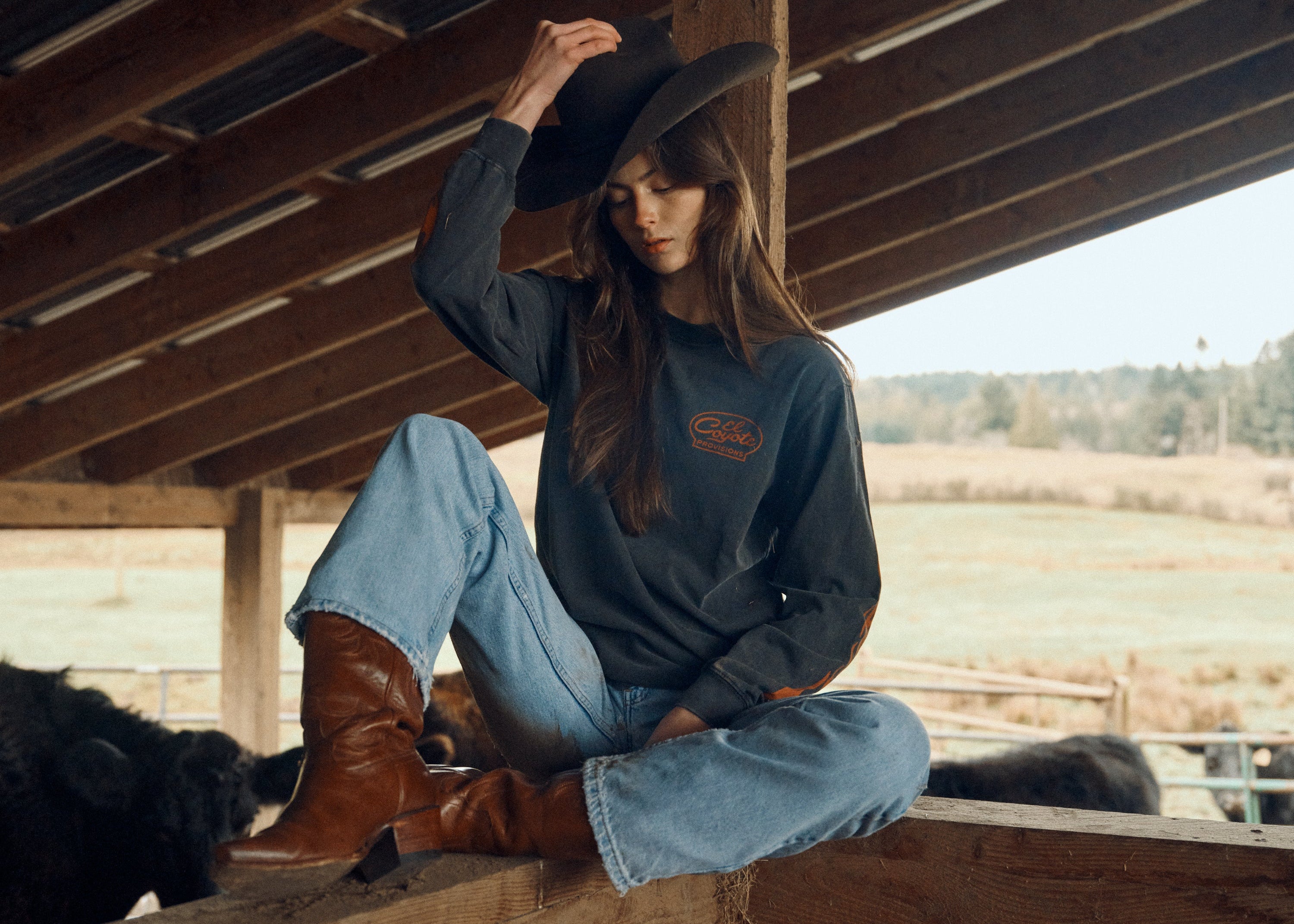 Person sitting on a wooden fence in a barn with cows in the background